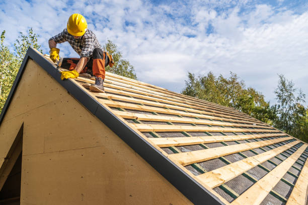 Best Roof Gutter Cleaning  in Stony Prairie, OH